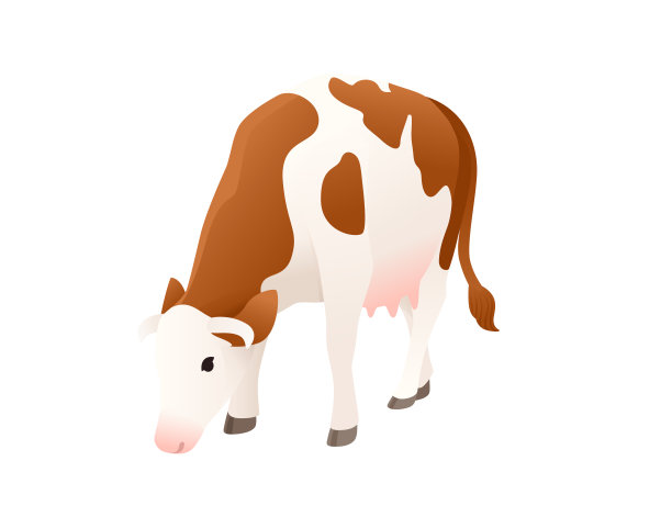 奶牛西门塔尔奶牛斑点家养哺乳动物卡通设计矢量插图在白色背景图片下载