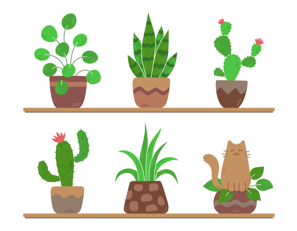 一套盆栽植物和可爱的猫。货架上摆放着绿色植物——仙人掌和鲜花。有趣的宠物在花盆里，家里的花园。手绘卡通平面矢量插图。孤立在白色背景。图片下载