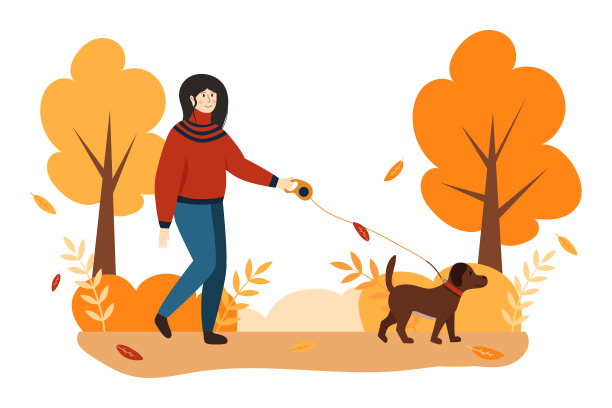 女人与狗散步在秋天公园孤立的白色背景。平面风格矢量插图。家养动物关怀理念图片下载