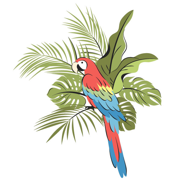 鹦鹉图片下载