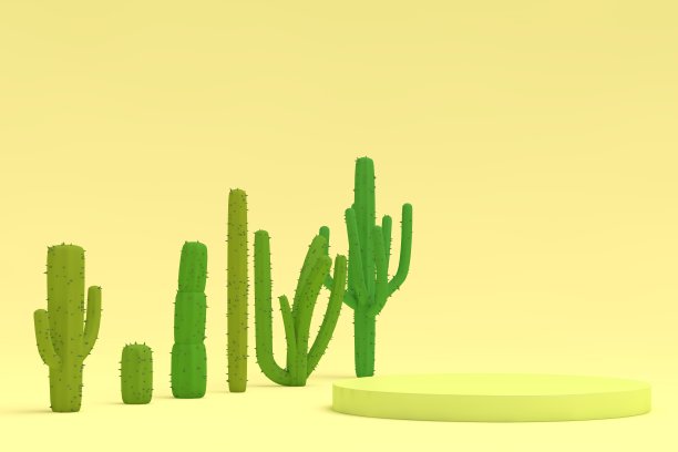 支架和仙人掌为空白产品介绍图片下载