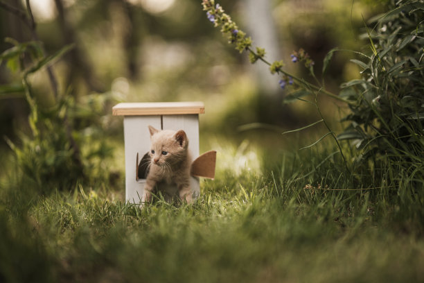 探索户外图片下载