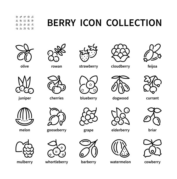 Berry简单的线性图标集合孤立图片下载