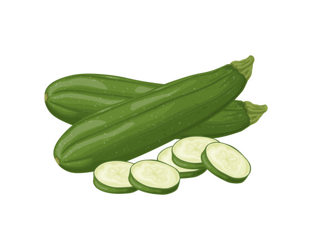 西葫芦。切片西葫芦的图像。菜园里的素食蔬菜。农场的蔬菜。矢量插图孤立在白色背景上图片下载