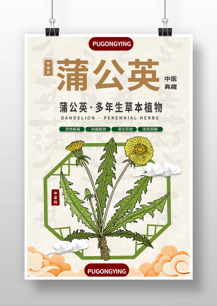 简约卡通风中药蒲公英海报图片下载