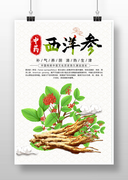 简约复古风西洋参海报设计图片下载