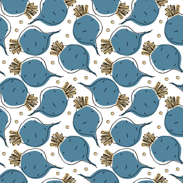 甜菜根蔬菜无缝模式素食图片下载