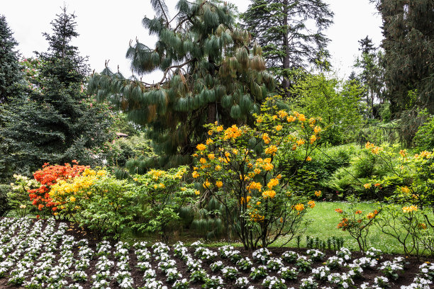 塔兰托别墅植物园，伦巴第，意大利图片下载