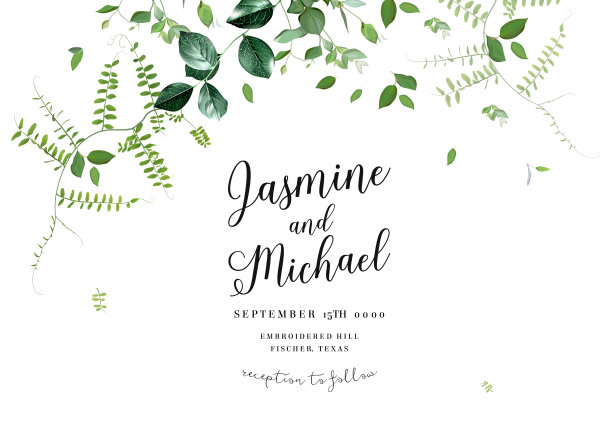 草药极简向量框架。手绘植物，树枝，树叶在白色的背景图片下载