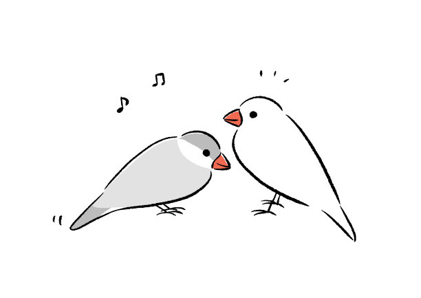 爪哇麻雀又唱又跳图片下载