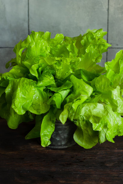绿色的生菜叶装在金属杯里。图片下载
