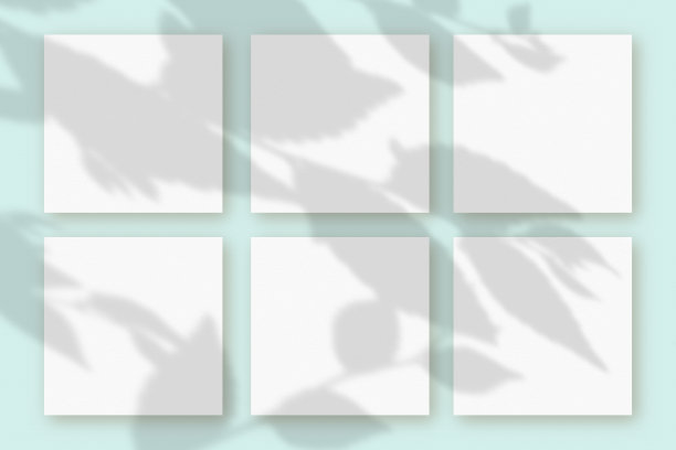 自然光将植物的阴影投射在蓝色纹理背景上的6张方形白色纹理纸上。模型图片下载
