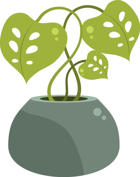 盆栽热带植物图片下载