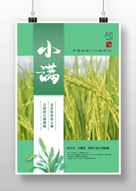 绿色简约小满二十四节气海报图片下载