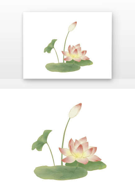 唯美水墨荷花花苞图片下载