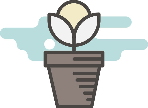 盆栽植物的花图片下载