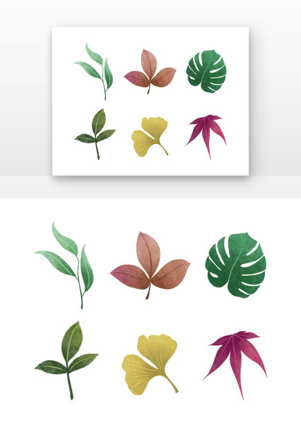 植物树叶叶子元素图片下载