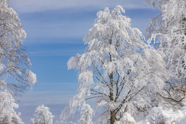 Kartepe国家公园的冬季无人机照片，Izmit Kocaeli土耳其图片下载