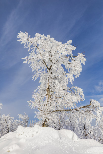 Kartepe国家公园的冬季无人机照片，Izmit Kocaeli土耳其图片下载