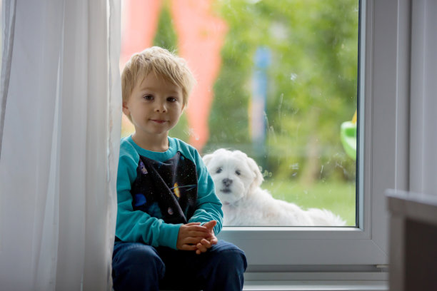 可爱的孩子，男孩和马耳他小狗狗，坐在门口图片下载