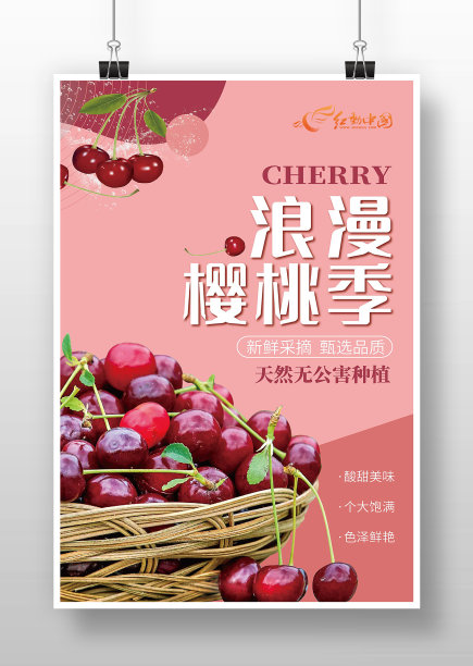 粉色简约风樱桃宣传海报图片下载