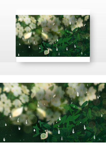 小雨滋养的植物图片下载