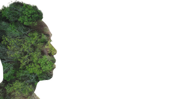 生态问题拯救森林悲伤面对绿色树木图片下载