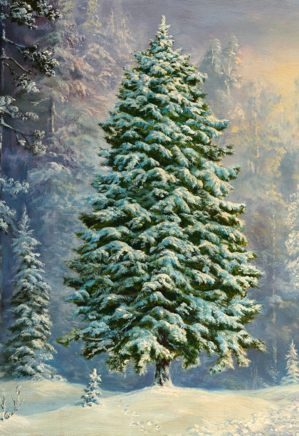 圣诞节的仙境图片下载