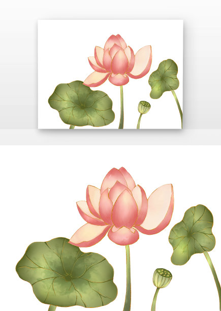 唯美手绘夏日荷花图片下载