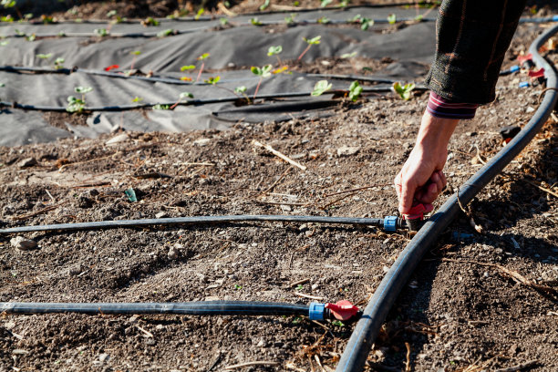 手在花园里开滴灌龙头图片下载