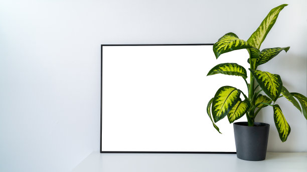 白色海报在桌子上与黑色框架和植物模型为您设计。图片下载