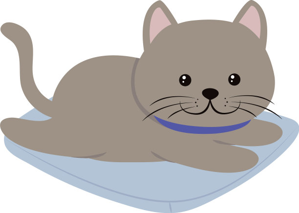垫子上的可爱猫咪图片下载
