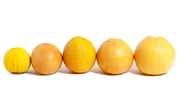 新鲜的柑橘类水果。柠檬，橙子，葡萄柚在白色背景上分离图片下载