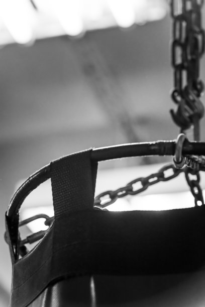 空手道大厅里的吊袋。图片下载