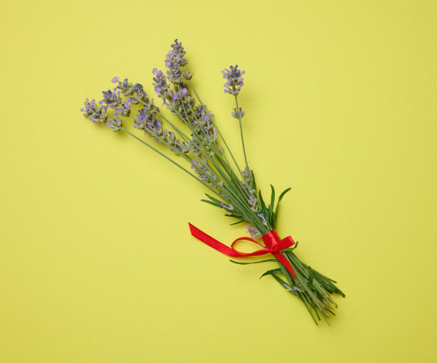 薰衣草花束用红色丝带系在绿色背景上，俯瞰图片下载