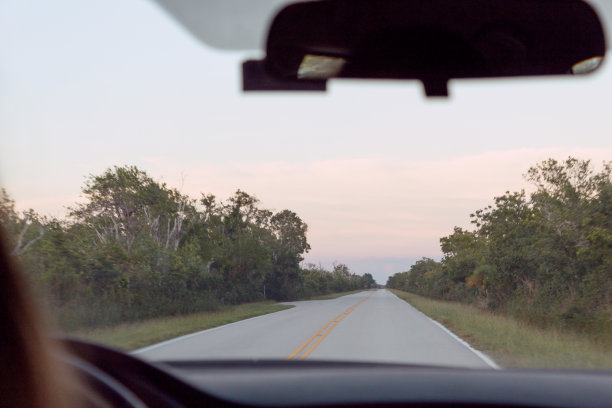 从一辆车里看到的早期日落，在佛罗里达的Everglades图片下载
