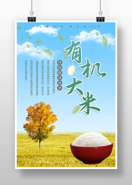 蓝色简约有机大米海报图片下载