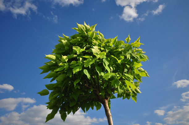 户外拍摄图片下载