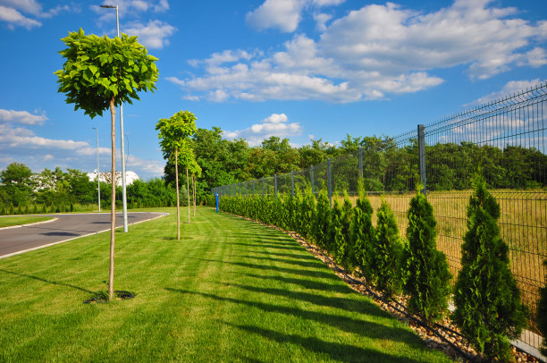 户外拍摄图片下载