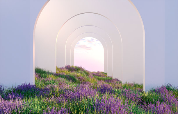 自然美丽的讲台背景与薰衣草田。图片下载