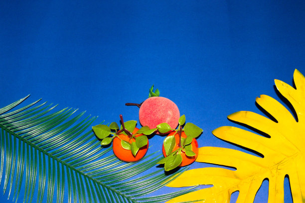 两个橘色和桃色的棕榈叶在底面上方深蓝色复制空间，创意健康职业设计图片下载