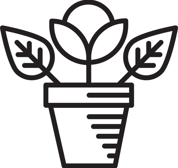 盆栽植物的花图片下载