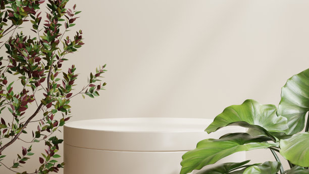 用于在奶油色背景上展示产品的空栈台。图片下载