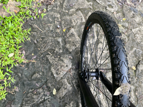 自行车轮胎图片下载