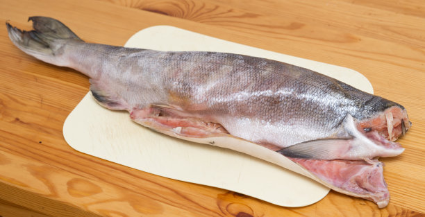 新鲜大麻哈鱼图片下载