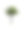 孤立的绿色花朵在一个铁罐。孤立的芦荟在白色的背景。隔离。图片下载