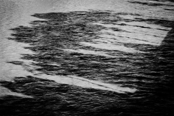 黑白图像的水面与树影图片下载