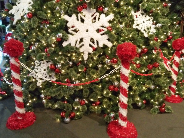 翠绿的松树，白色的雪花装饰。图片下载