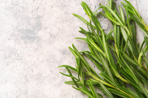 迷迭香新鲜绿叶。香草鼠尾草抽象纹理背景。自然的概念。柔和和选择性的聚焦。食品配料的背景。纹理。模拟。图片下载