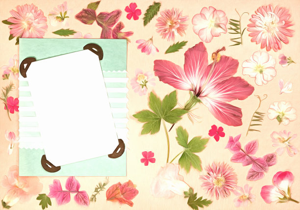 旧相册的页面。水彩画风格的花朵。用于纹理、包装图案或问候语、卡片、明信片。数字成油画。水彩绘画。剪贴簿元素。图片下载